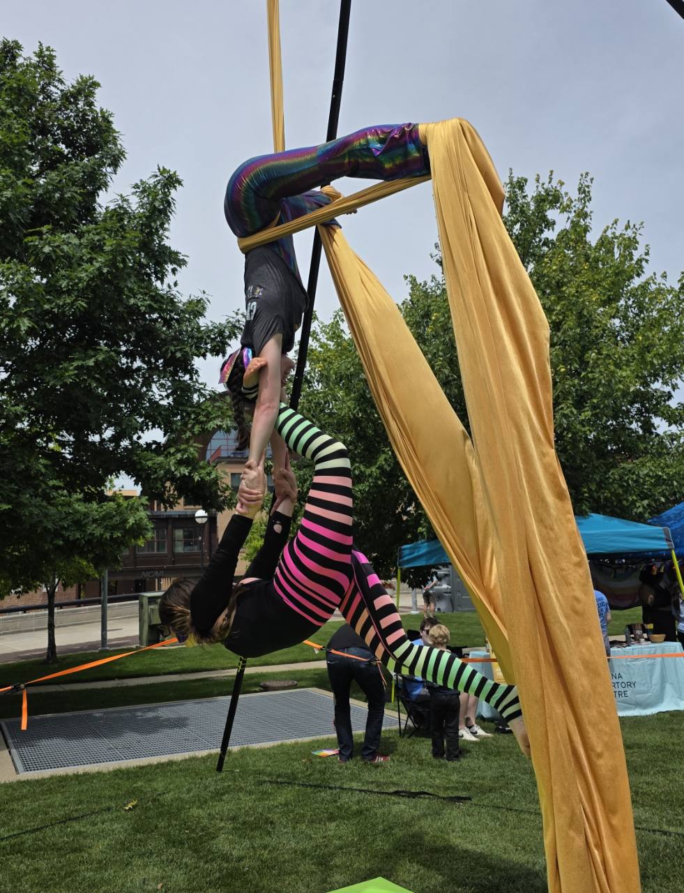 Two aerial artists working together on gold silks outdoors